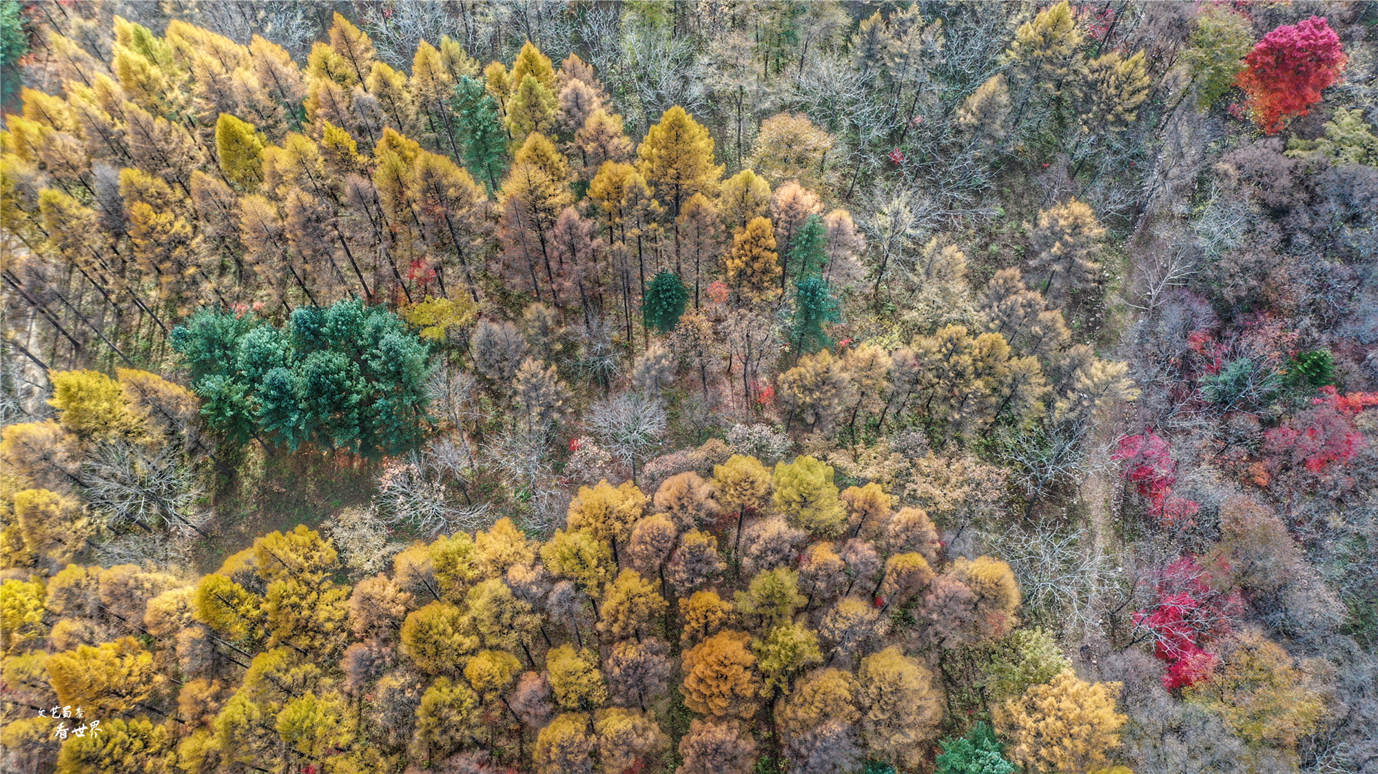 本溪关门山看枫叶最佳游览路线,本溪红叶层林尽染自驾游攻略