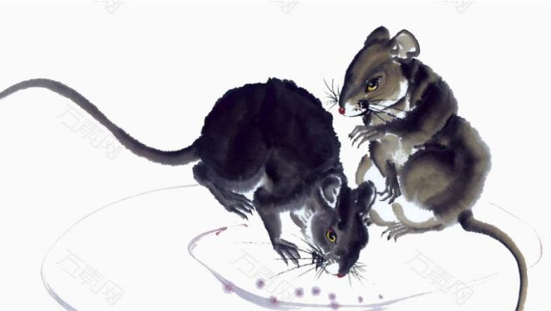 诗词里的十二生肖,十二生肖各有一首诗