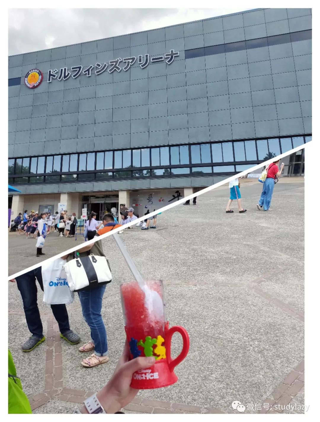 日本名古屋鲸,日本名古屋樱花