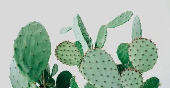 麦粒肿好了又患腮腺炎,我是得了啥绝症?