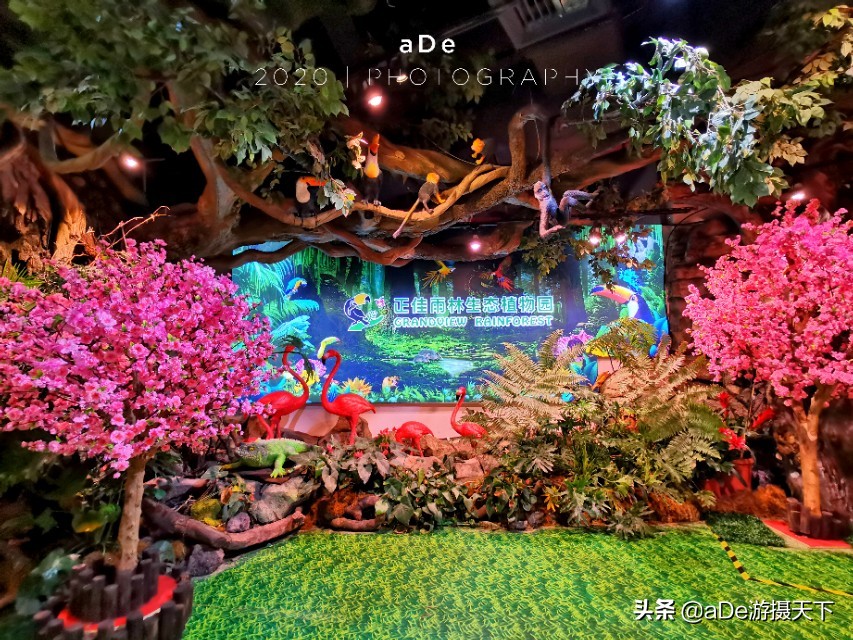 广州正佳广场哪个馆最值得玩,广州值得打卡的地方正佳广场