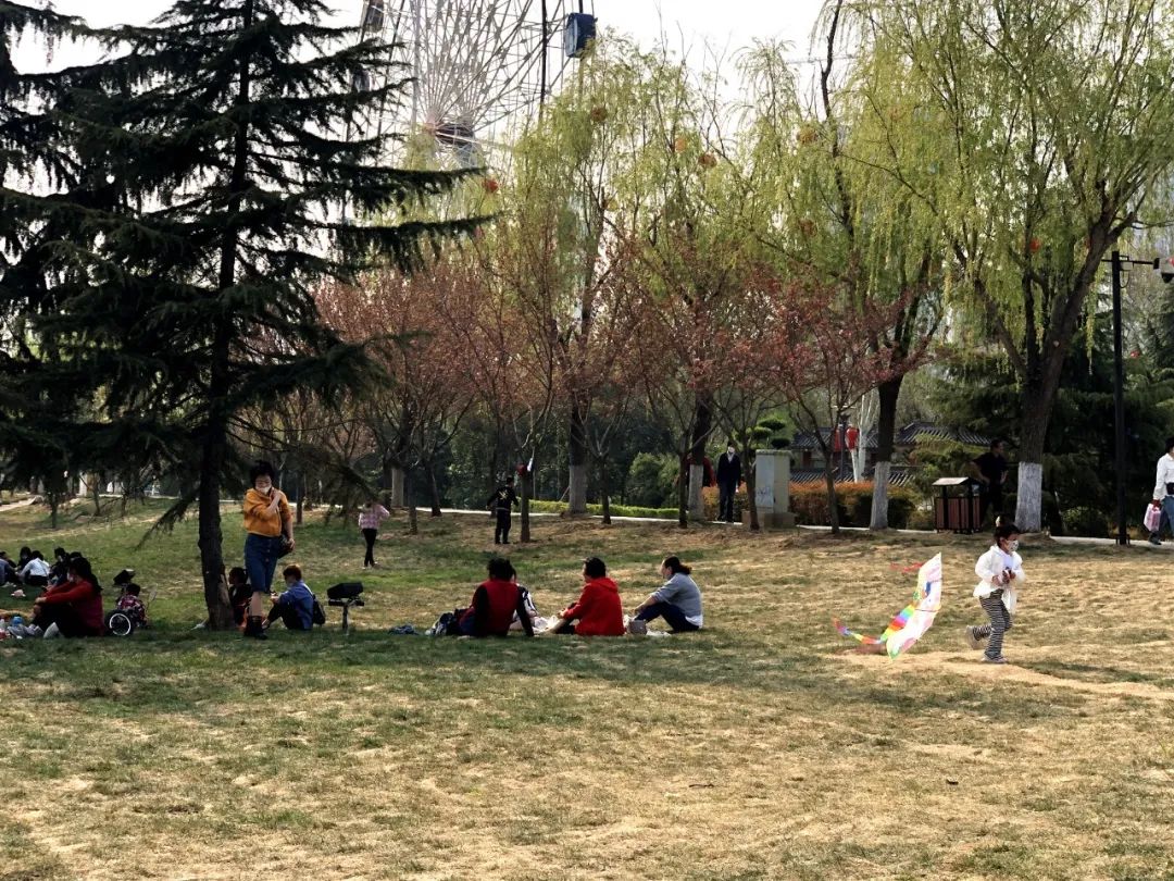 咸阳统一广场郁金香,咸阳郁金香花展在哪里