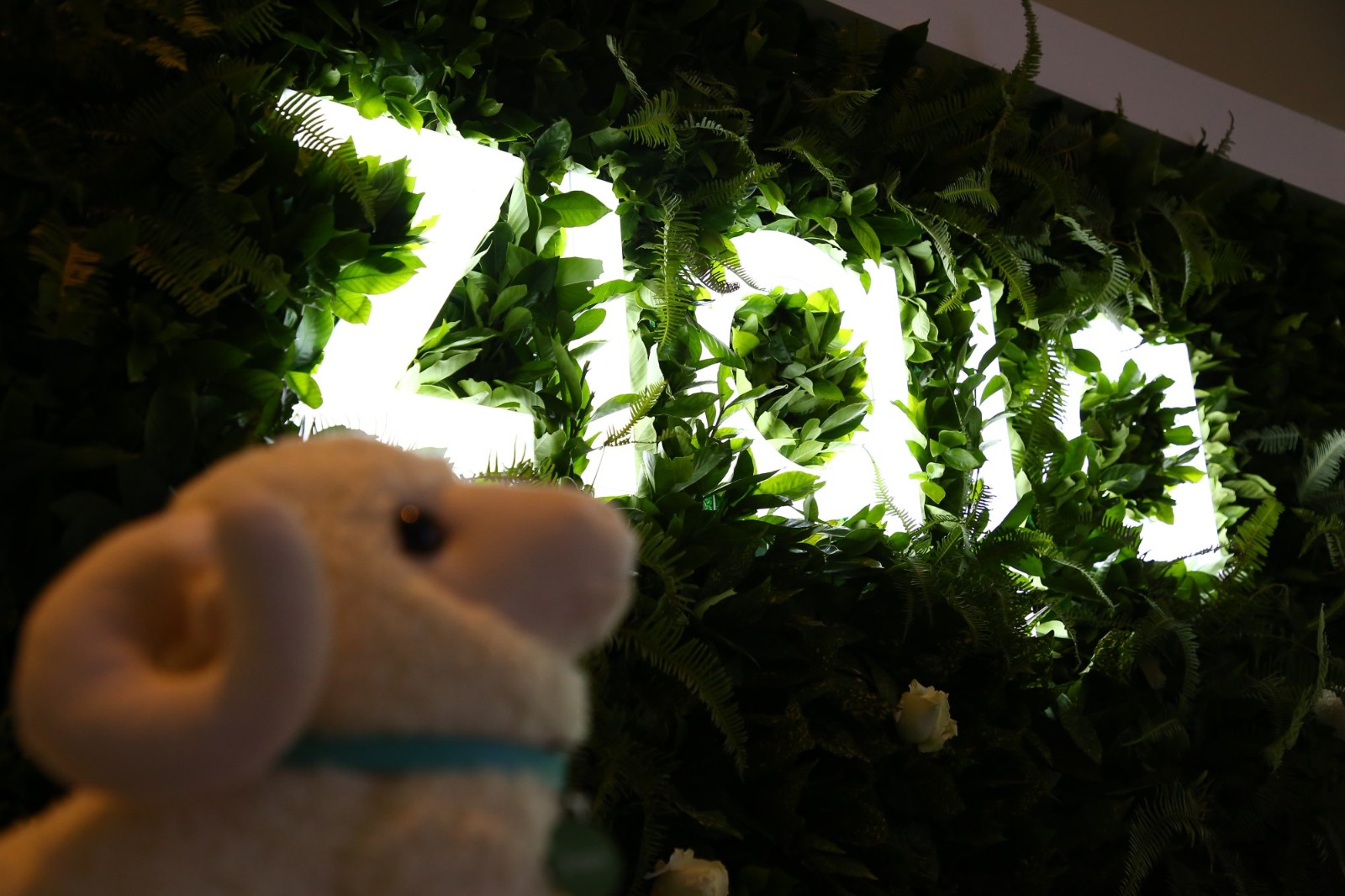 齐叶雅山羊奶面膜推荐,ziaja齐叶雅山羊奶面膜20片