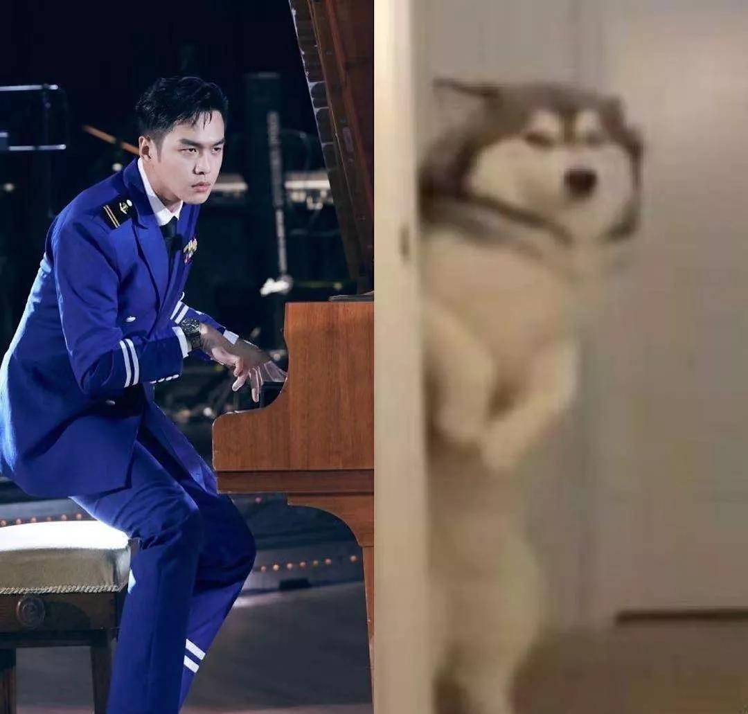 明星大撞脸你看哪个最像,明星撞脸对比