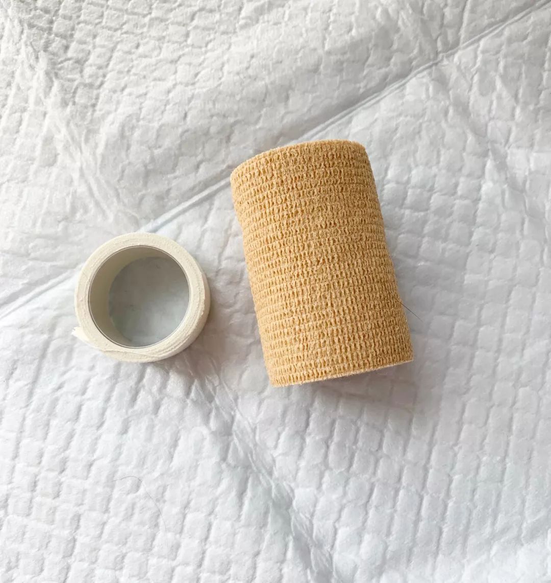 猫咪畸形断腿怎么安乐死,畸形的新生猫咪如何安乐死