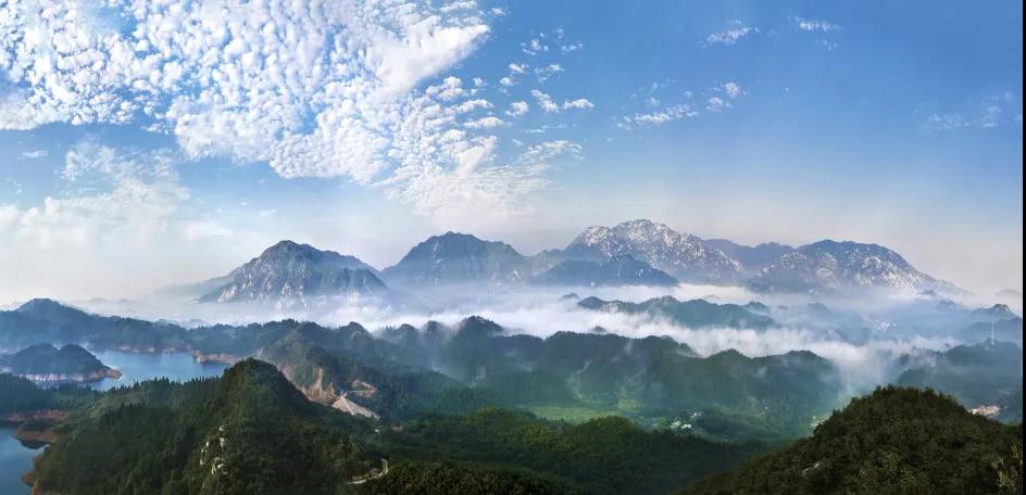 全国林草生物多样性保护成就展,林业生物多样性保护