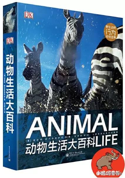 dk科普书怎么样,dk值得入手的书籍