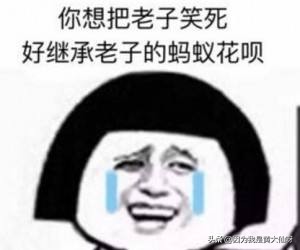 花呗怎么解除账户的风控状态,花呗被风控每次只能用450