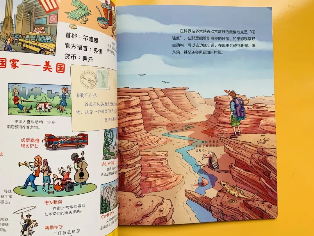 哈佛校长带娃去一个陌生地方,哈佛女校长带孩子去不同的地方