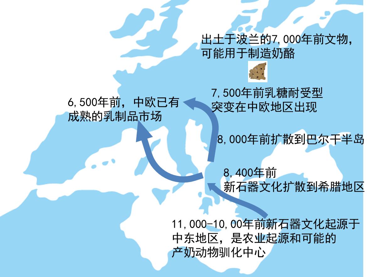 跟着主人的狗狗好吗,跟着主人锻炼的狗狗