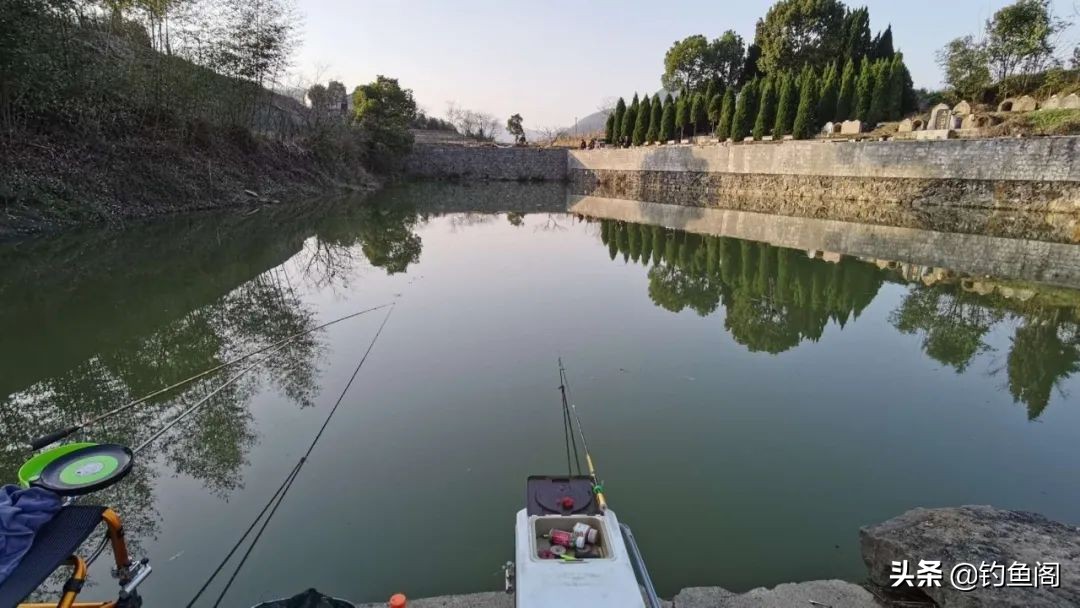 水太肥鱼鲫鱼不吃饵怎么办,水太肥鱼不肯吃饵怎么办