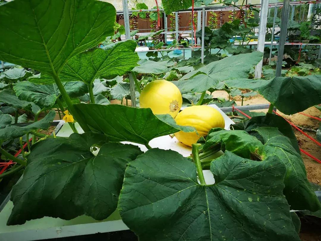 来甘肃,南方人第一次来甘肃的冬天