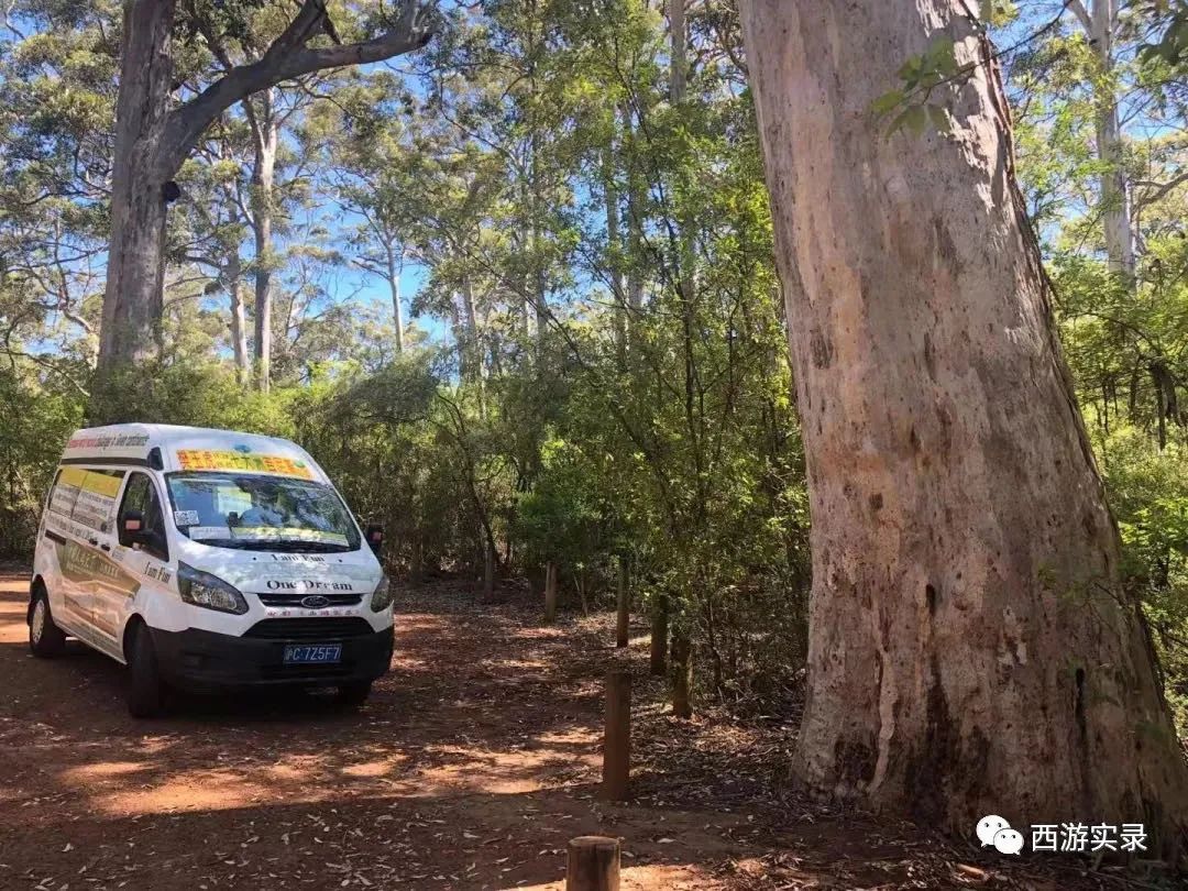 中国小伙独自一人荒野生活,中国男子荒野独居