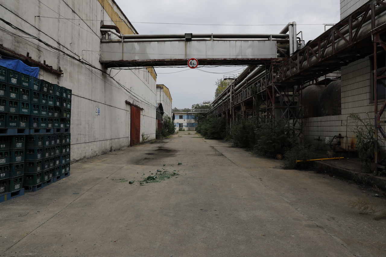 武汉东西湖产的雪花啤酒,东西湖雪花啤酒厂2015年