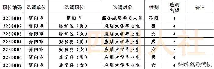 四川选调生2024选调公告官网,四川选调生2024选调公告名额