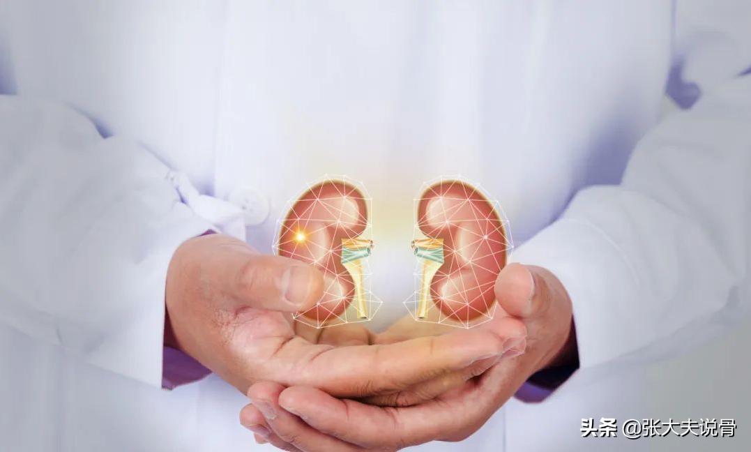 糖尿病知识小科普!请关爱你的肾脏!别让这个疾病缠上你