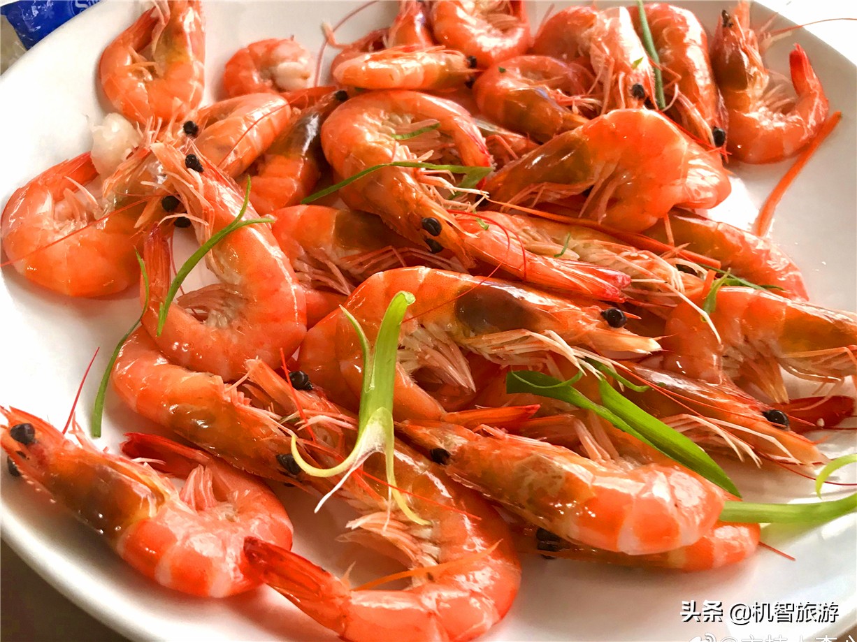 日照渔家乐带小院的住宿推荐,日照渔家乐民宿避雷