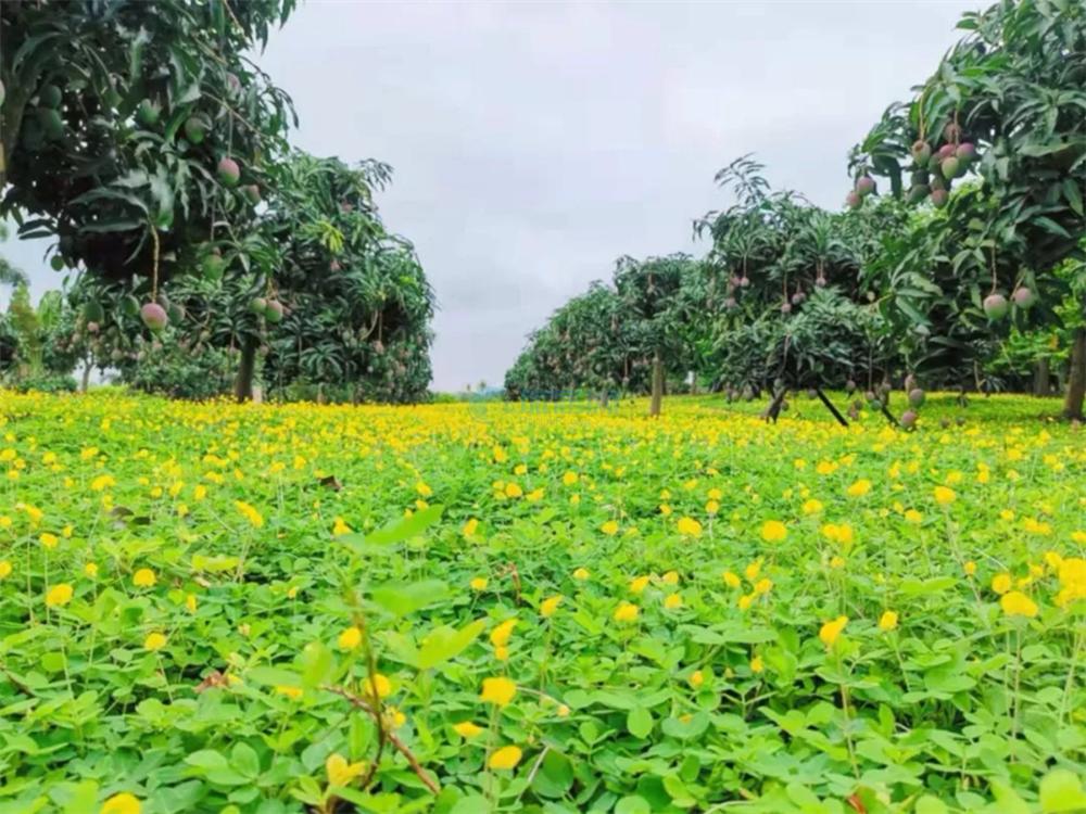 富力红树湾怎么样？区位、配套、产品多方位深入解析