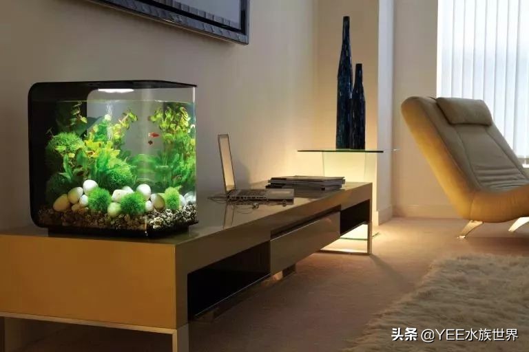 养鱼水浑用什么药,养鱼水浑