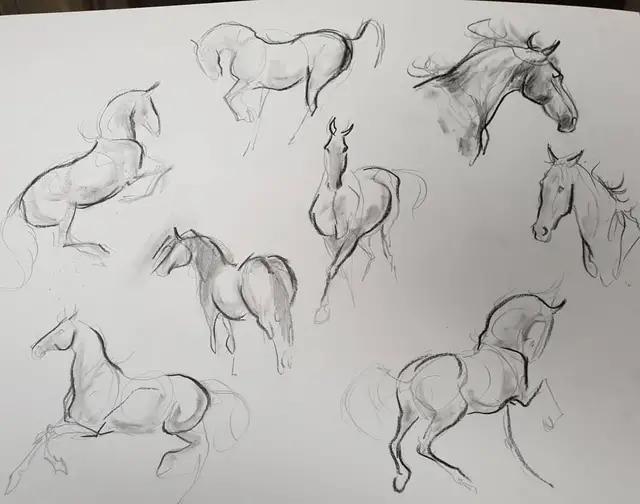 速写简笔画马,画速写不需要临摹