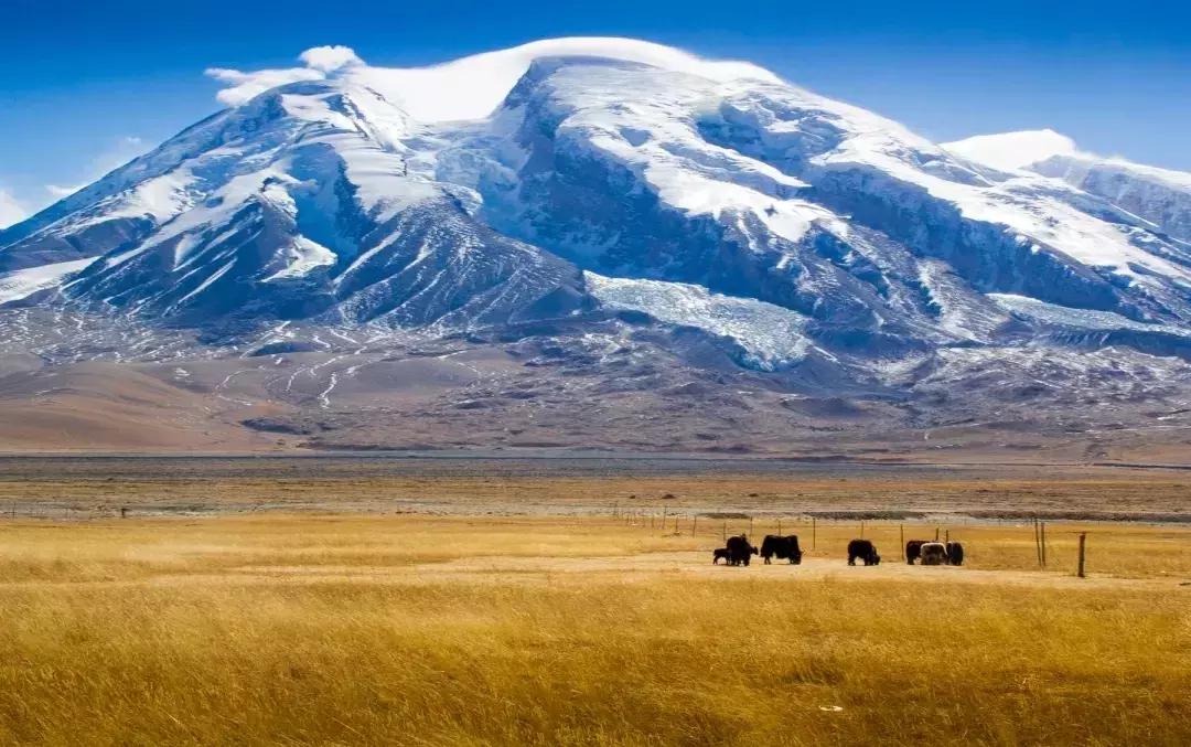 北疆的美完整版,北疆的景最美