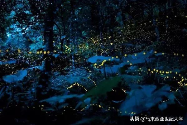 风下之乡海鲜,风下之乡