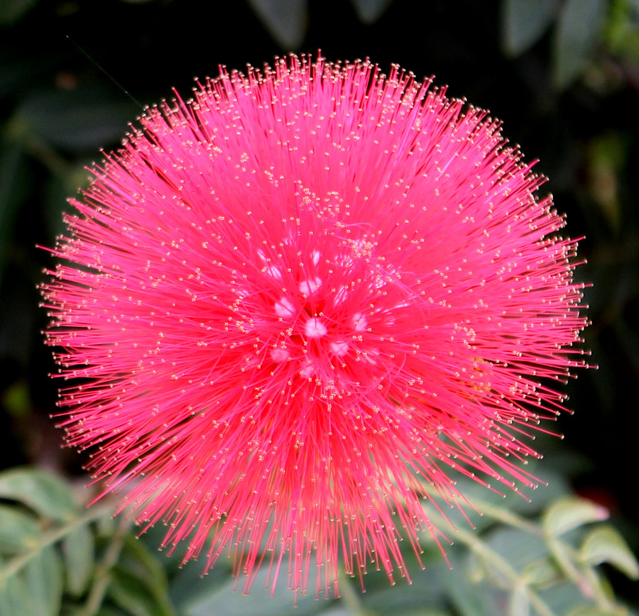 原谅我知识浅薄,原谅我知识浅薄这什么意思