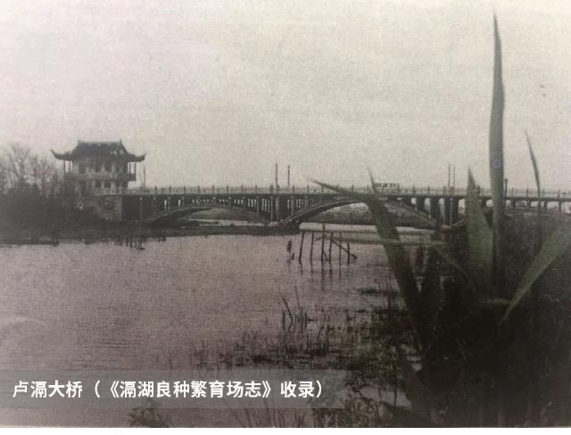 常州西太湖变迁,常州西太湖和滆湖公园有什么区别