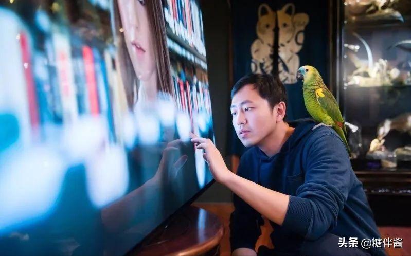 水哥为什么不继续上最强大脑,当年最强大脑的水哥现在如何了