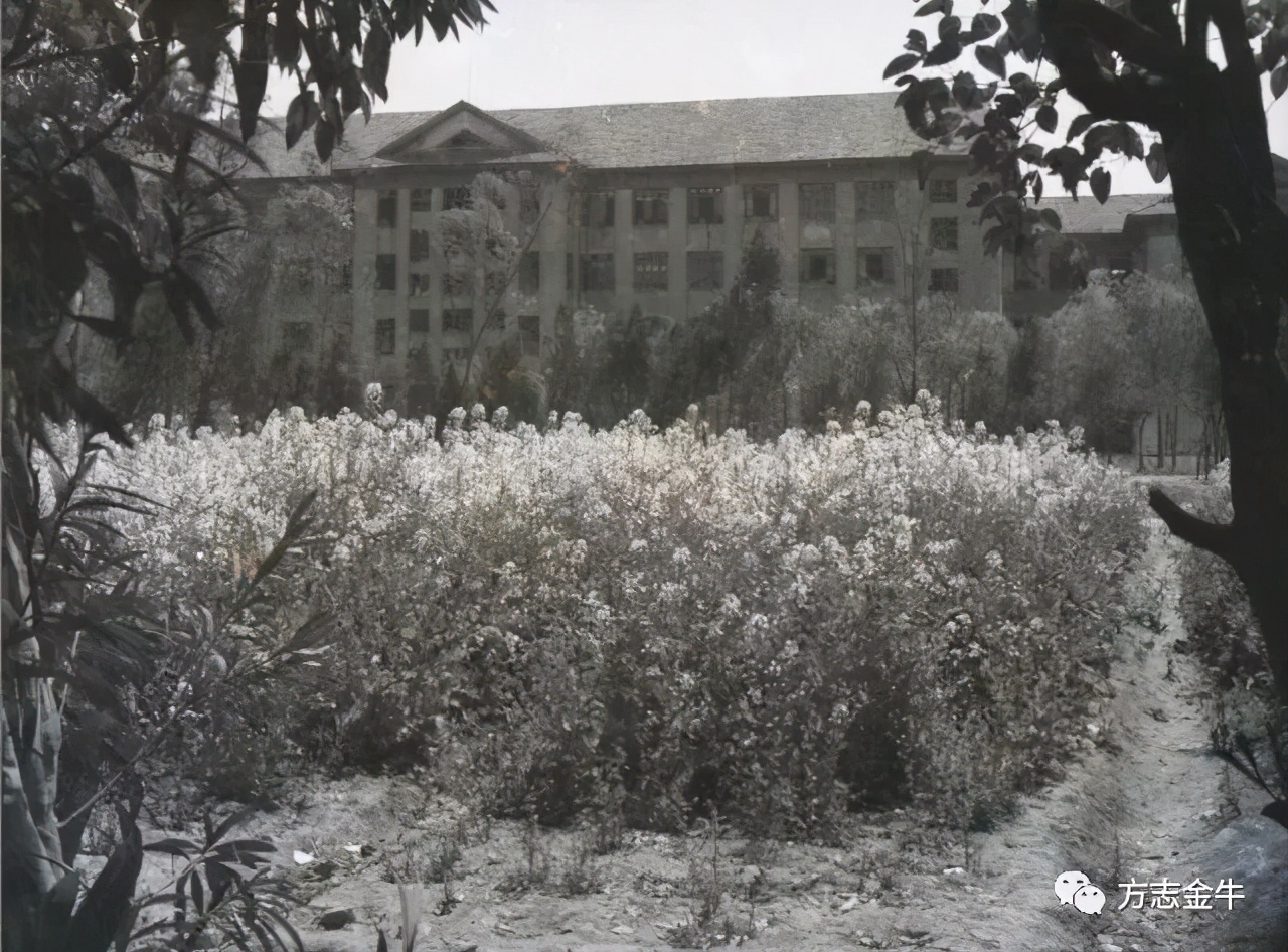 成都学校老照片,成都军区军医学校老照片