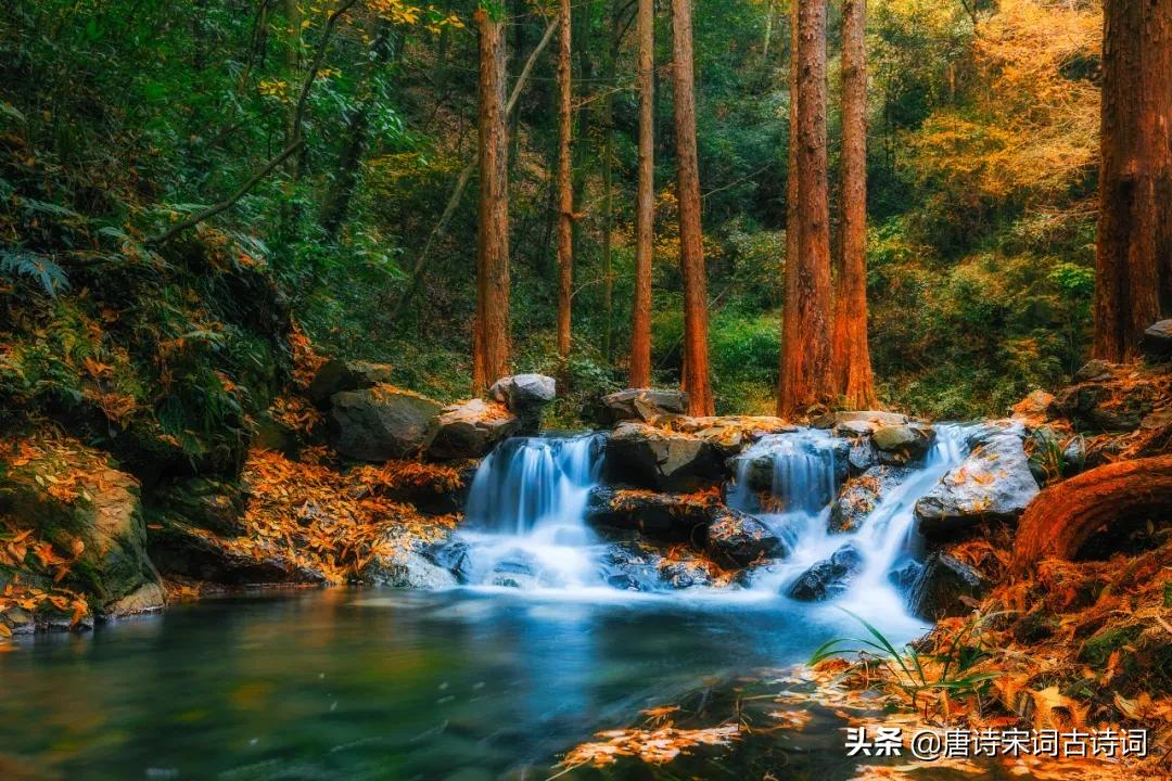 江南烟雨如梦如幻,江南的春如梦如幻