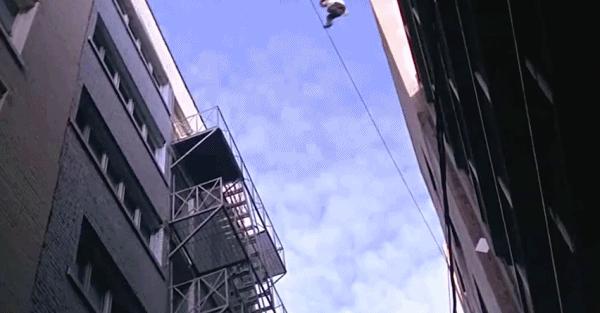 fila怎么走红的,范德彪红色斐乐