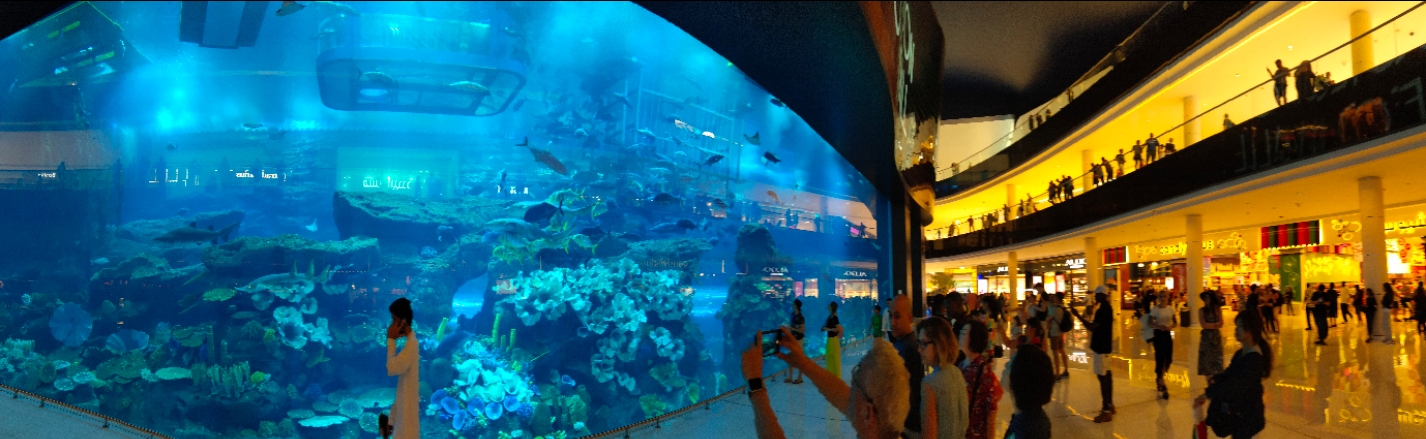 去迪拜上班有哪些坑,去迪拜工作好还是去旅游好