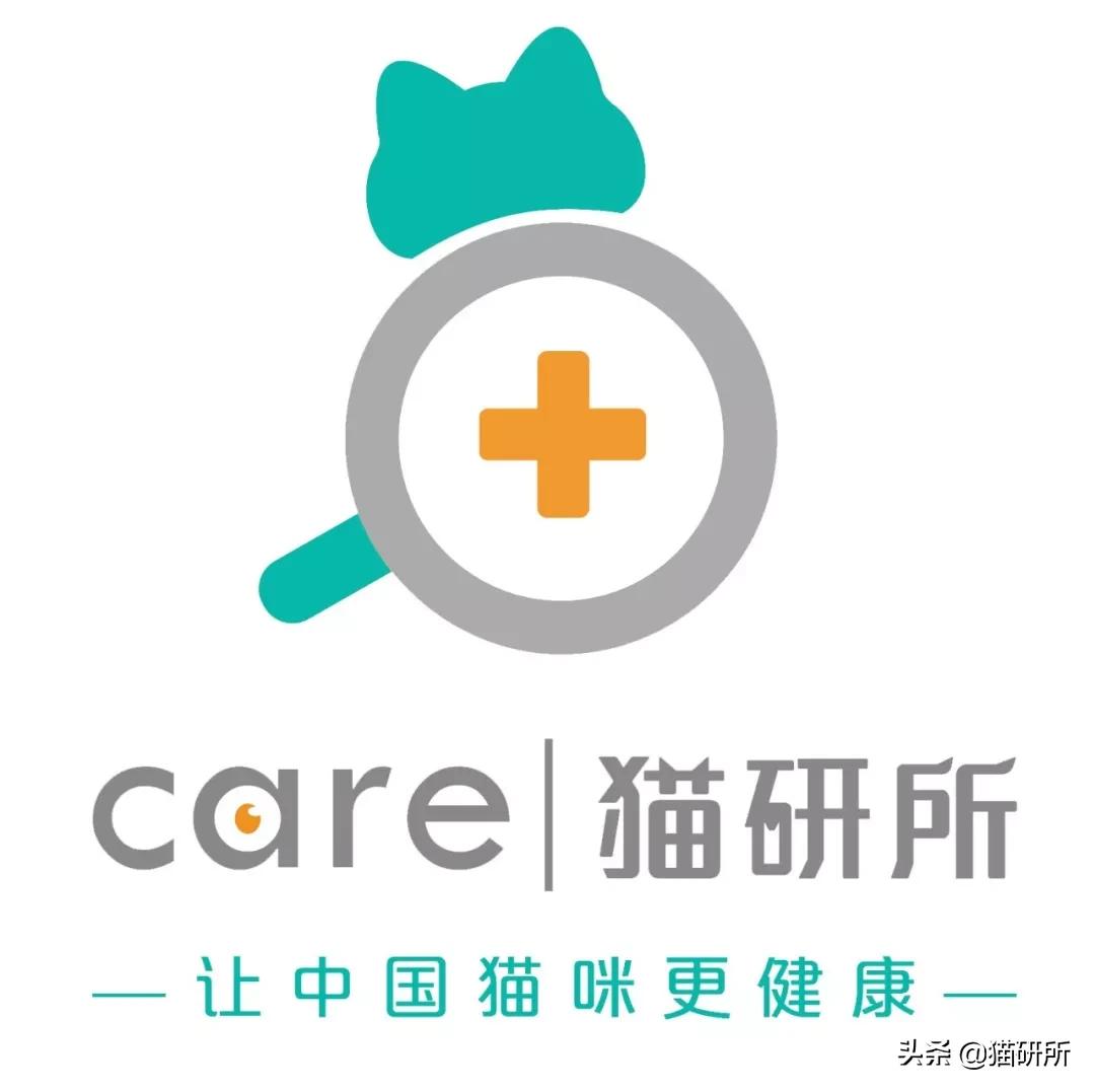 怎么才能知道猫咪的智商,你家猫爱看电视吗