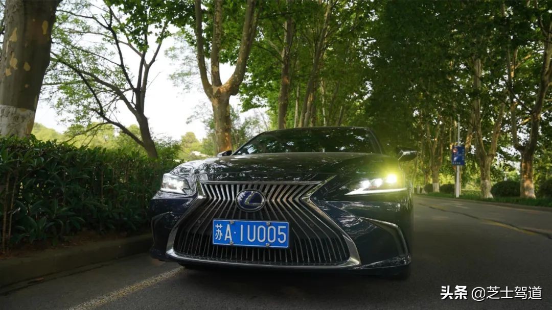 雷克萨斯追玛莎,雷克萨斯追爱