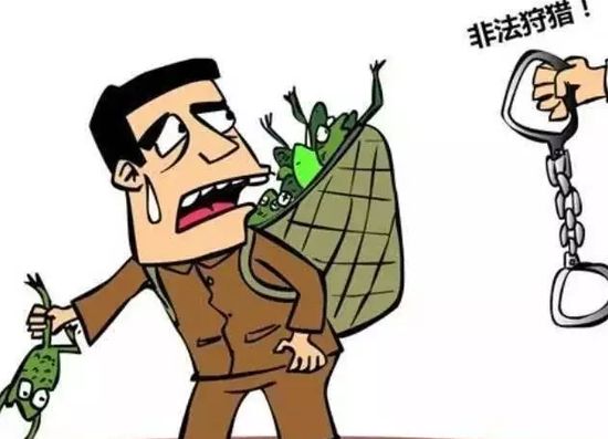 抓野生青蛙判刑,卖野生青蛙被判刑