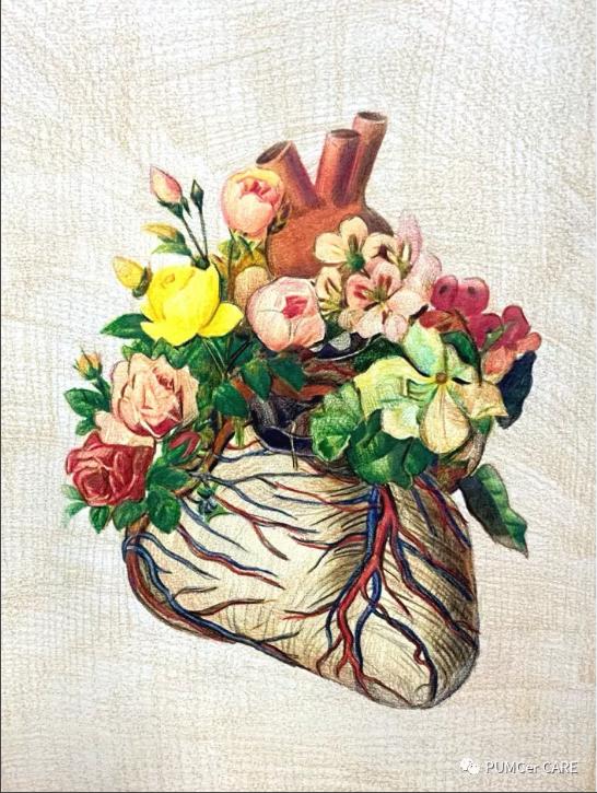 医学解剖创意绘画及作品简介,解剖手骨绘图大赛手绘图