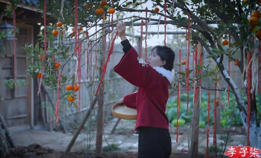 李子柒被韩国网友*攻围**，中国博主联手回击，发布酸菜视频标题显眼