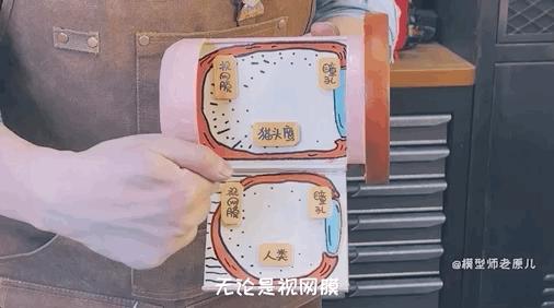 猫头鹰怎么摸眼睛,猫头鹰怎样抓蛇的视频