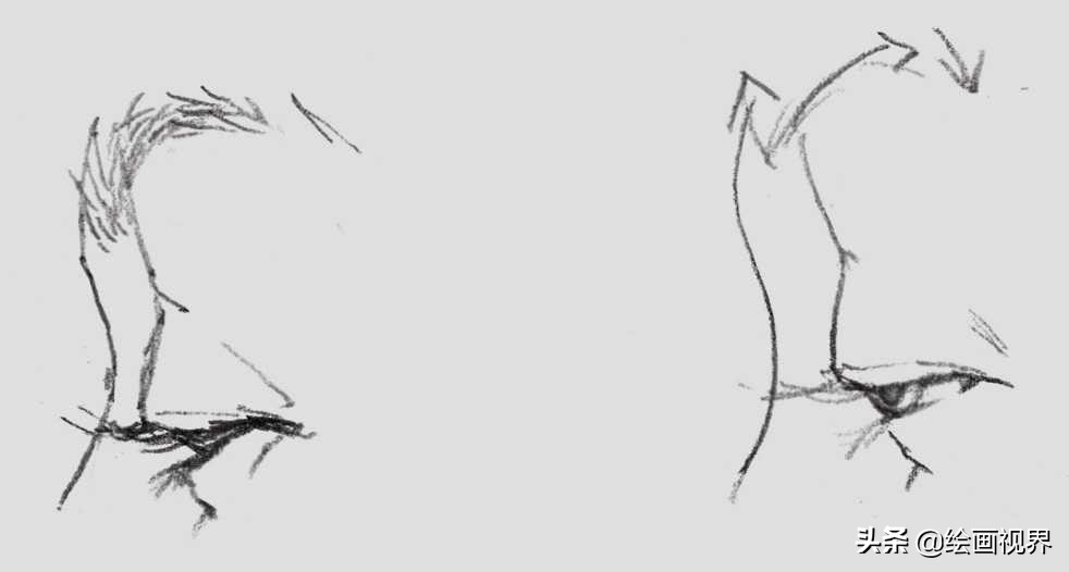 初学者画眼睛的步骤图简单,初学者画眼睛的教程图解