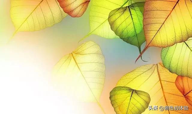 小学课本中容易读错的古诗字,古诗词中的容易读错的成语