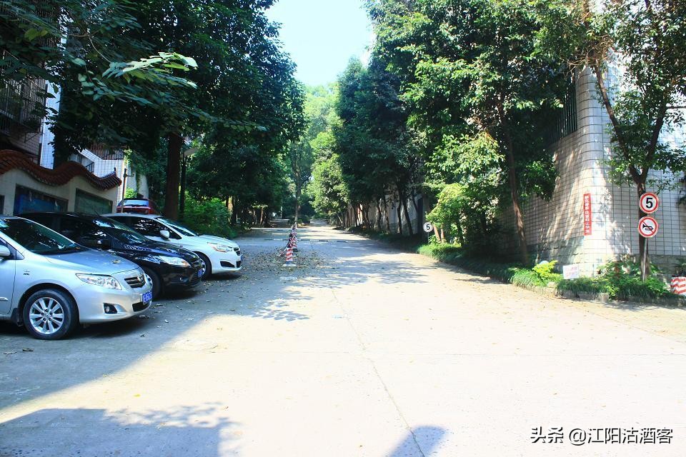 泸州老火炬二厂,泸州市老二中图片