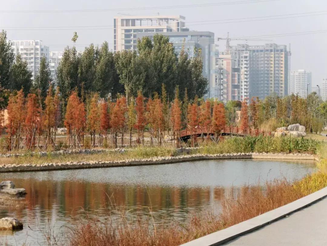 薛城未来五年发展之城南篇,薛城未来重点发展的片区