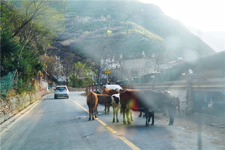 甘孜州有个很漂亮的村寨,甘孜州藏寨
