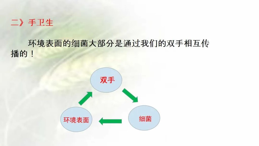 课件-陪护人员医院感染知识培训