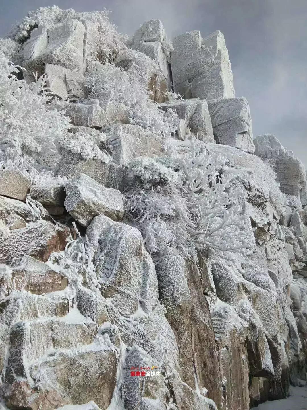 此刻泰山成了雪国，美到无言！高清美图来袭，“雪国的列车”即刻发车！