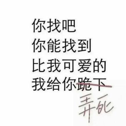 脱单土味情话100句,我要脱单了的土味情话