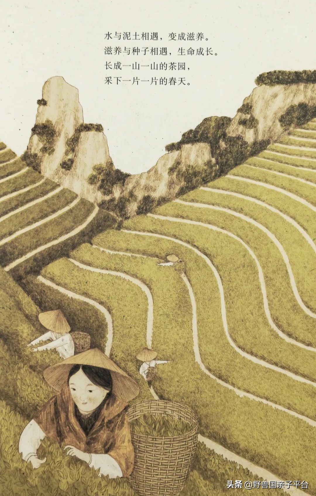 读小库系列书如何,读小库书怎么样