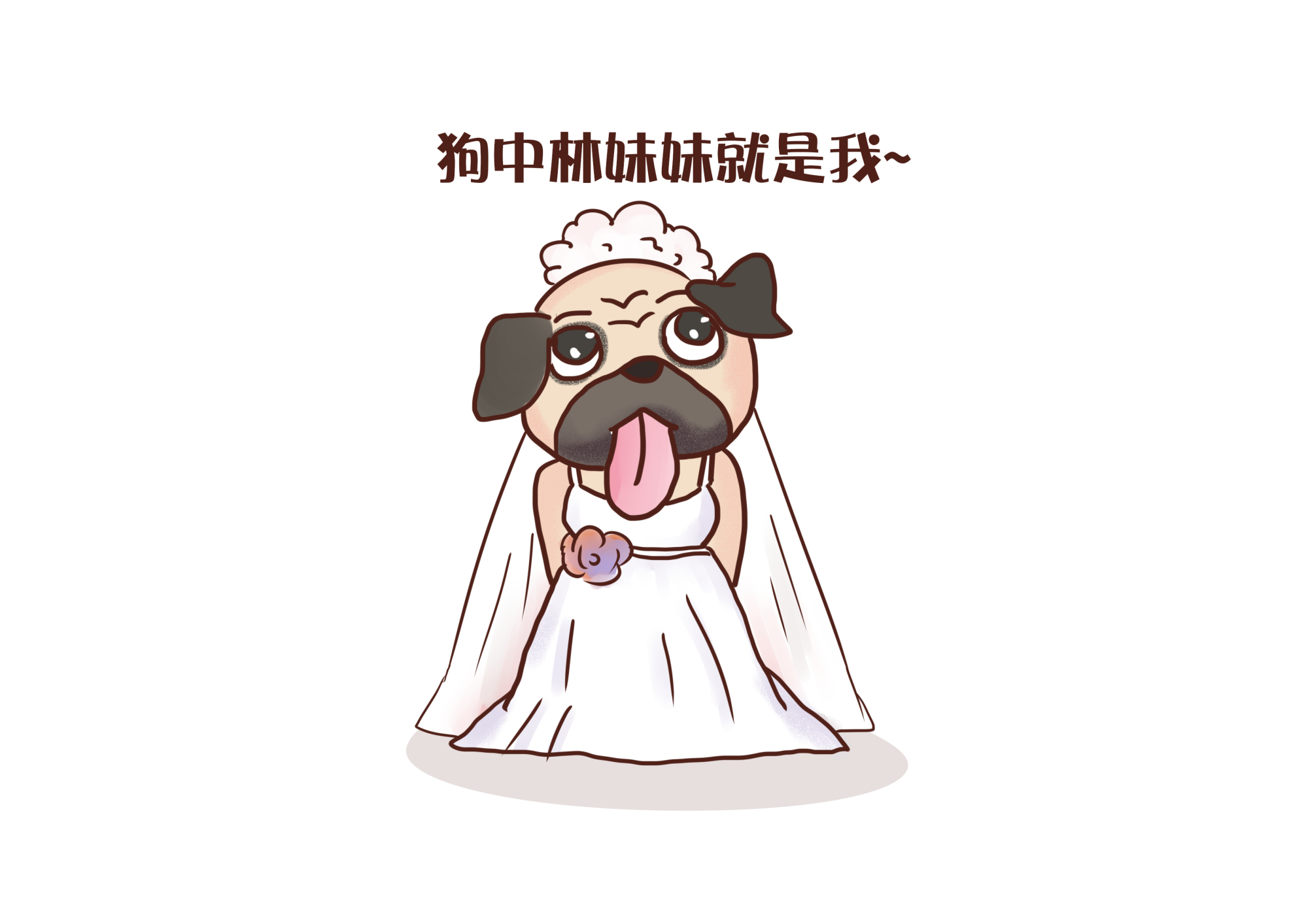 小体型狗狗品种有哪些巴哥犬,狗狗推荐排行榜第一名巴哥犬