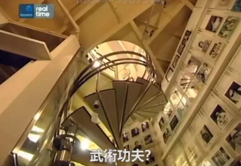 老佛爷的猫继承多少遗产,老佛爷去世了猫继承了多少遗产